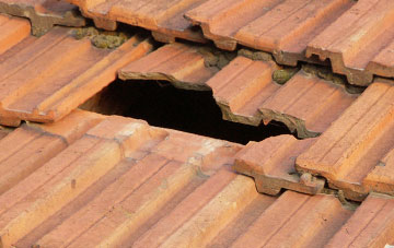 roof repair Bunwell, Norfolk