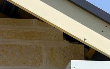 soffit repair Bunwell